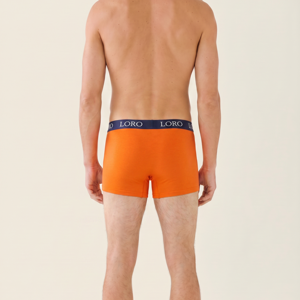 Lot de 3 boxers en coton